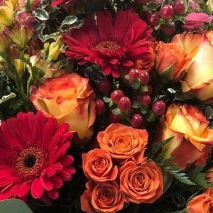 Meet your Posher, Allison